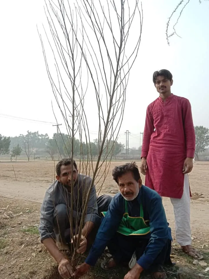 Green Seekers Activity